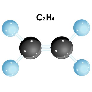 3 boyutlu vektörde etilen molekülü