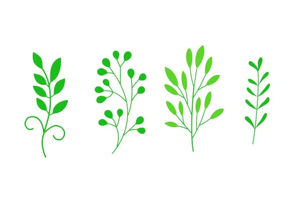 Sada Ikon Listů Izolovaných Bílém Pozadí Různé Tvary Zelených Listů — Stock fotografie