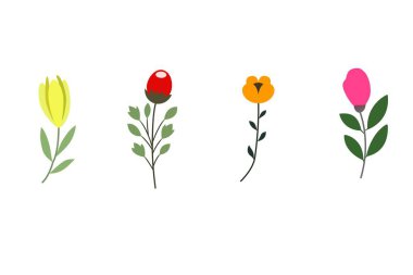 Beyaz arkaplanda izole edilmiş lale demeti