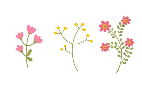 Set Bunga Dan Bunga Elemen Terisolasi Pada Latar Belakang Putih — Stok Foto