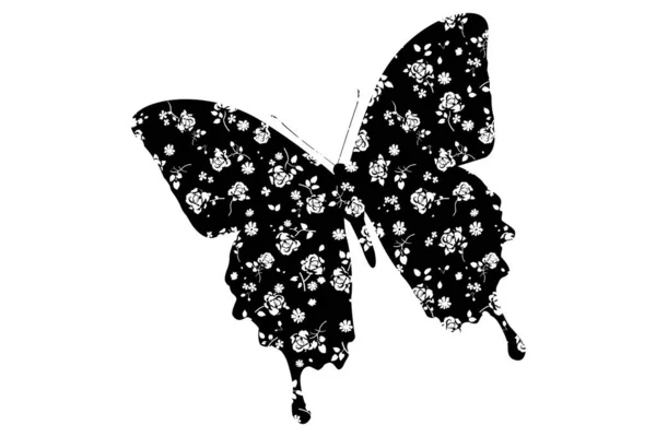 Papillon Noir Blanc Fleurs Sur Fond Blanc Illustration — Photo