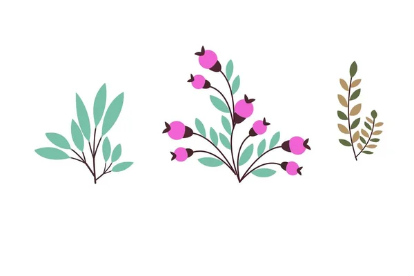 Virágos Elemek Tervezése Modern Illusztráció Levelek Sablonhoz Logóhoz Nyomtatási Tervhez — Stock Fotó