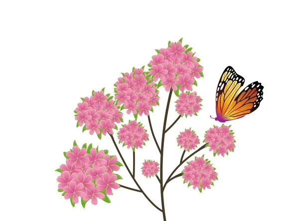Mariposa Naranja Sobre Flores Rosadas Diseño Ilustración —  Fotos de Stock