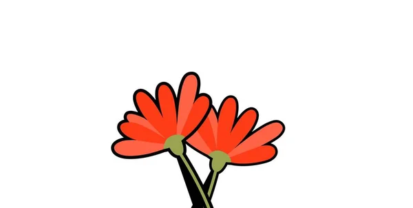 Flower Cute White Background Illustration Design — Stock Photo, Image