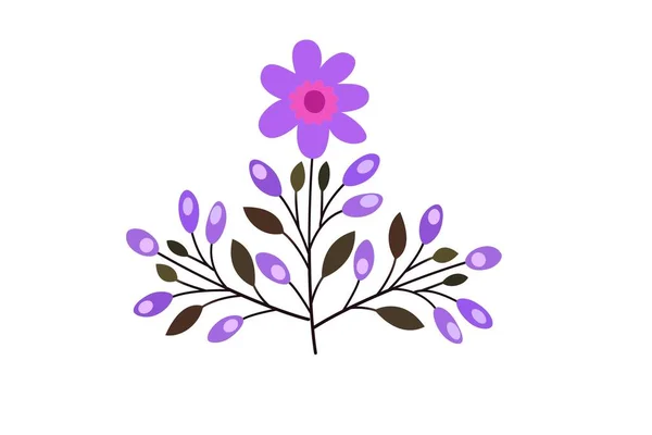 Lila Blüten Isoliert Auf Weißem Hintergrund Illustration Design — Stockfoto