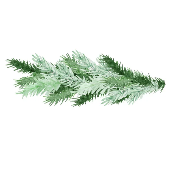 水彩画的冬冷杉枝条 用于圣诞节设计 — 图库照片