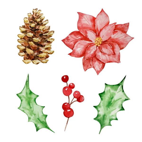 Akvarell Készlet Téli Virágos Karácsonyi Design — Stock Fotó