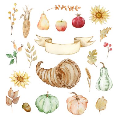 Şükran Günü suluboya elementleri, cornucopia, kabak ve meyveler izole edilmiş.