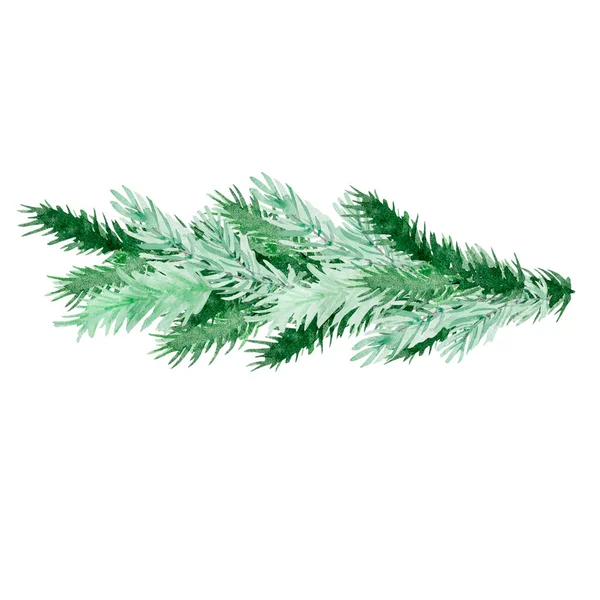 クリスマスデザインのための水彩冬のモミの枝 — ストック写真