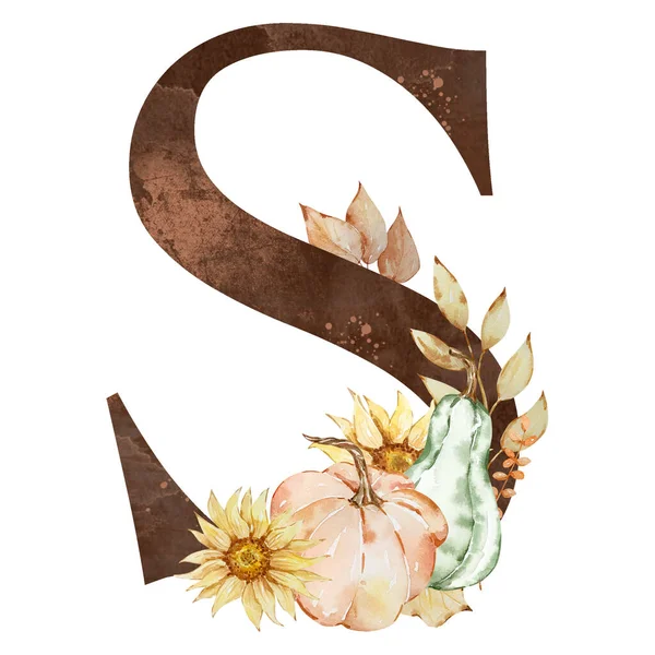Watercolor alphabet, letter S with pumpkins and sunflowers for thanksgiving day design