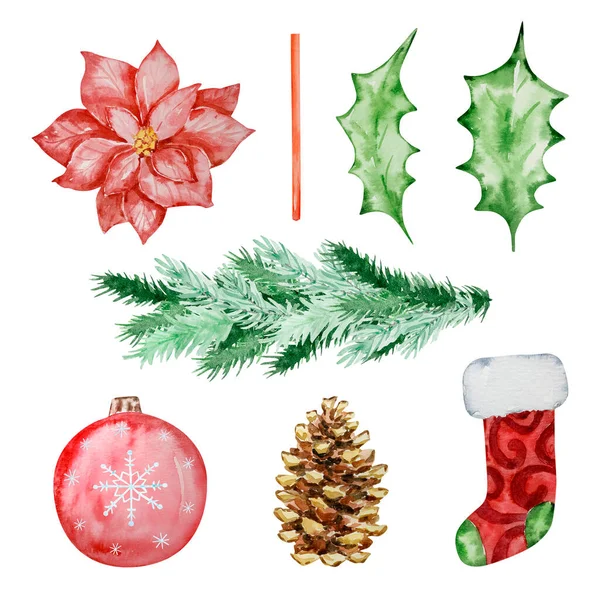 Aquarell Set Von Winter Blumen Und Strumpf Für Weihnachten Design — Stockfoto