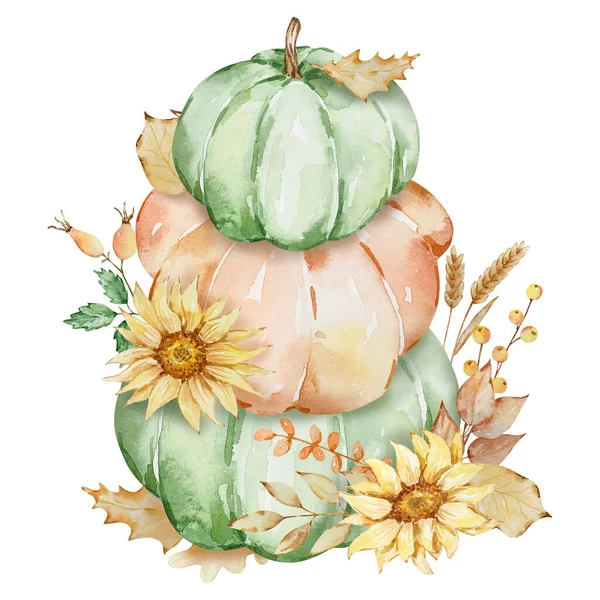 Podzimní Ilustrace Akvarelových Dýní Slunečnic Pro Den Díkůvzdání Design — Stock fotografie