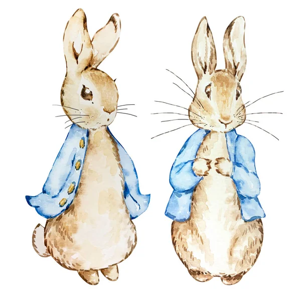 两只水彩画可爱的兔子 穿着蓝色夹克设计和印制明信片 — 图库照片