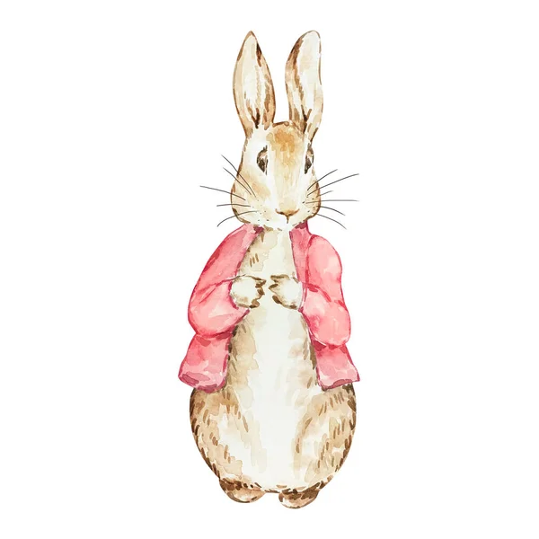 Watercolor Peter Rabbit Red Jacket Baby Shower Design — Stock Photo, Image