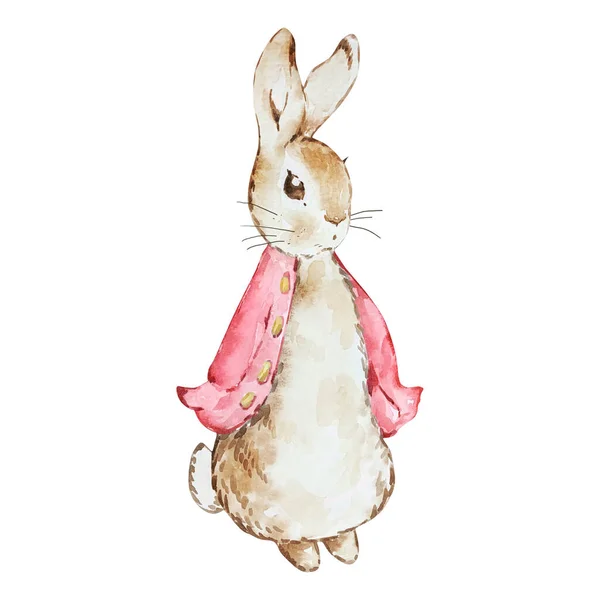 水彩斑斓的兔宝宝淋浴设计用红色夹克 — 图库照片
