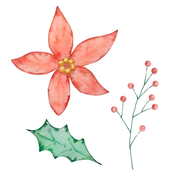 水彩画胡桃夹饼圣诞 一品红和浆果与叶子的假日设计 — 图库照片
