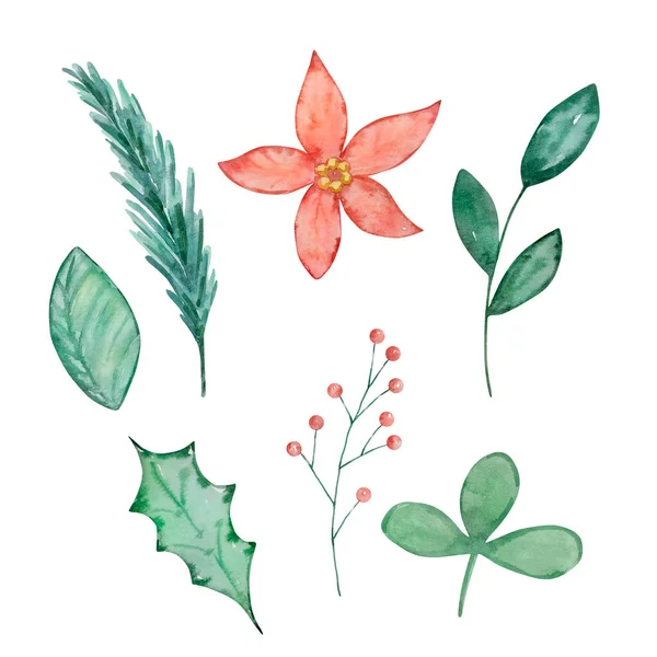 水彩画胡桃夹心圣诞 冬季绿叶花卉和一品红用于假日设计 — 图库照片