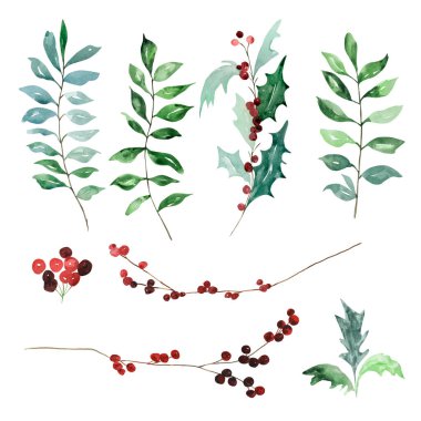 Modern Noel tasarımları için yaprakları ve meyveleri olan geleneksel suluboya kış dalları.