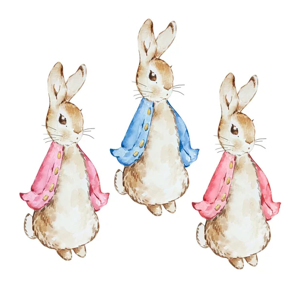 一套水彩画可爱的彼得兔宝宝设计用红蓝相间的夹克 — 图库照片
