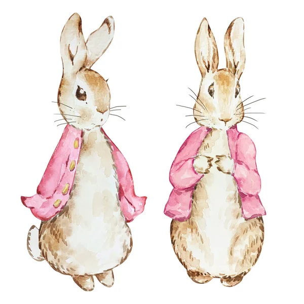 水彩画可爱的彼得兔 粉色外套 用于宝宝设计 — 图库照片