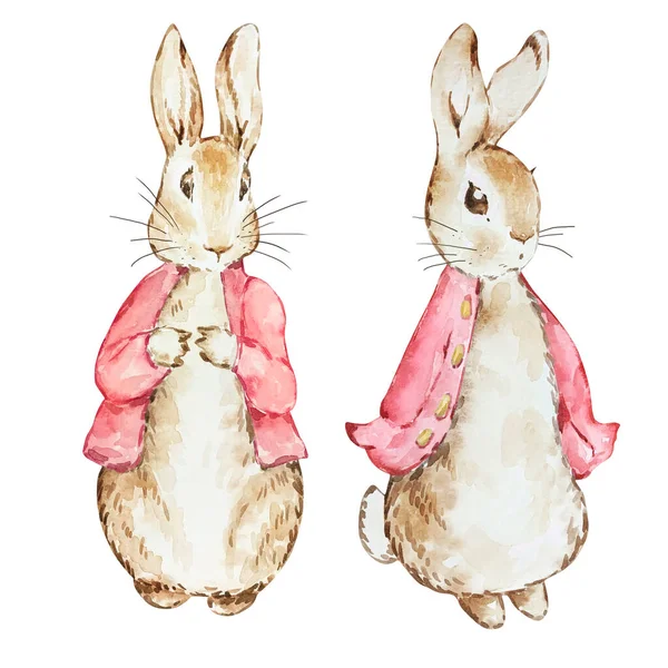 水彩画可爱的小白兔 红色外套 用于宝宝设计 — 图库照片