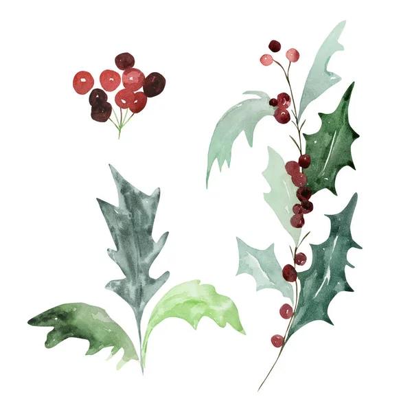 Uppsättning Akvarell Traditionella Vinter Grenar Med Blad För Modern Jul — Stockfoto