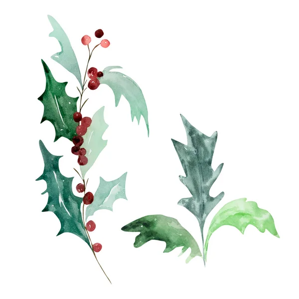Zestaw Akwareli Tradycyjnych Zimowych Gałęzi Liśćmi Nowoczesnych Wzorów Świątecznych — Zdjęcie stockowe
