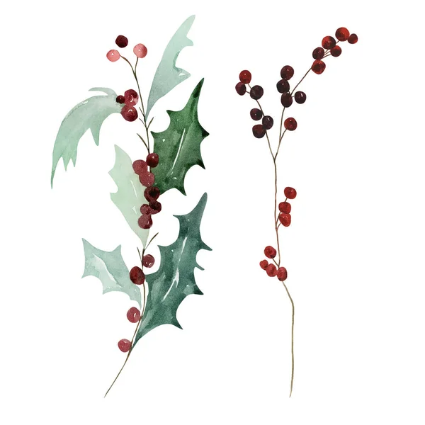 Zestaw Akwareli Tradycyjnych Zimowych Gałęzi Liśćmi Jagodami Nowoczesnych Wzorów Świątecznych — Zdjęcie stockowe
