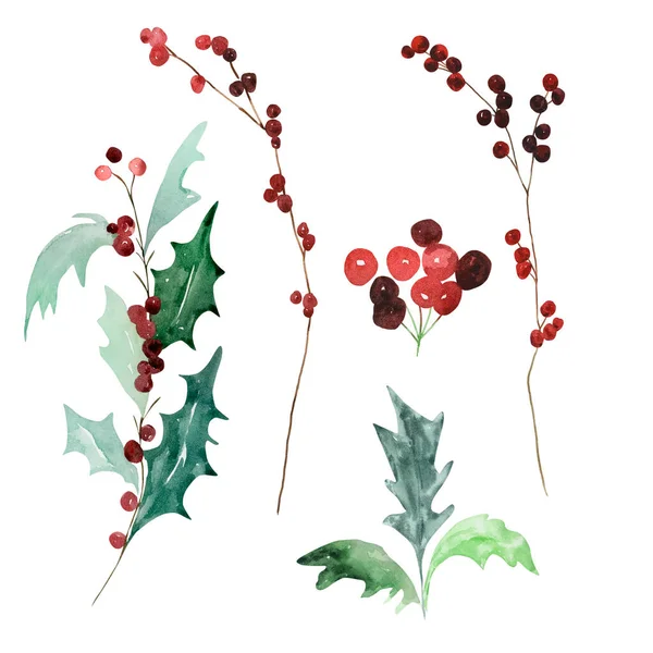 Σετ Νερομπογιάς Παραδοσιακά Χειμωνιάτικα Κλαδιά Φύλλα Και Μούρα Για Μοντέρνα — Φωτογραφία Αρχείου