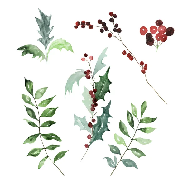 Sada Akvarelů Tradiční Zimní Větve Listy Bobulemi Pro Moderní Vánoční — Stock fotografie