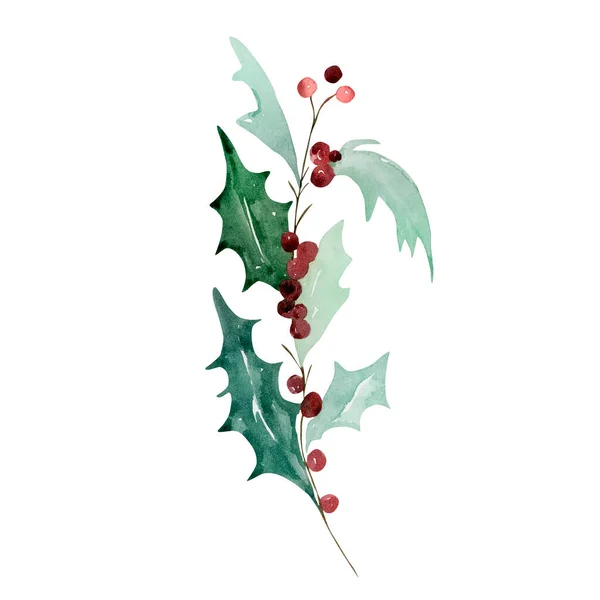 水彩缤纷的传统冬青枝叶 带有浆果 用于现代圣诞设计 — 图库照片