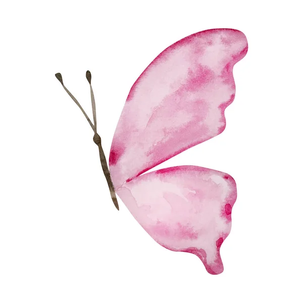 Akvarel Pink Sommerfugl Valentinsdag Til Festligt Design - Stock-foto