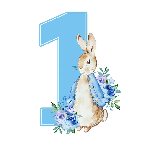Watercolor Illustration Peter Rabbit First Birthday Bouquet Holiday Design — 图库照片