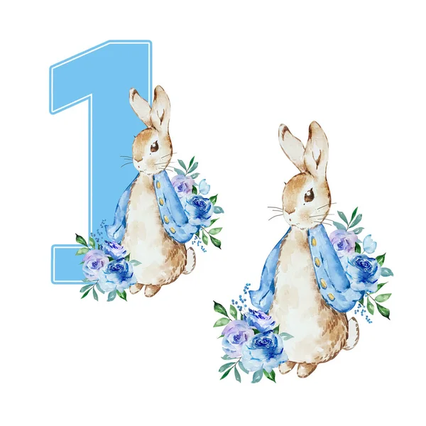 Watercolor Illustration Peter Rabbit First Birthday Holiday Design — 图库照片