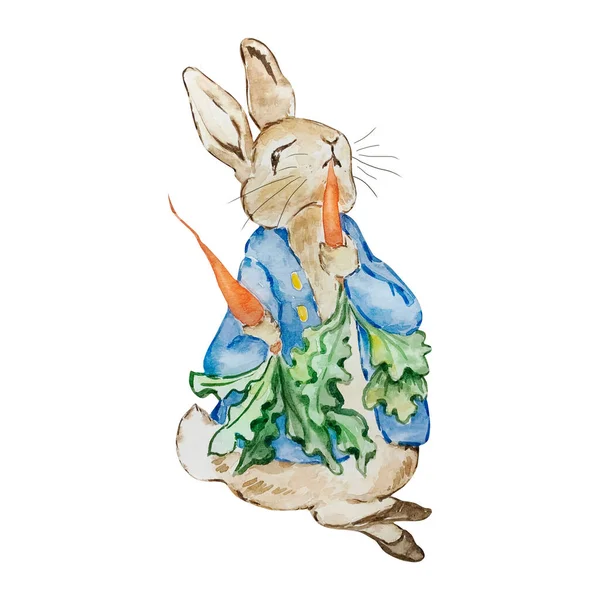 Watercolor Cute Rabbit Rabbit Blue Jacket Carrots Kids Design — 图库照片