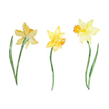 Watercolor cute rabbits in a blue jacket for kids design