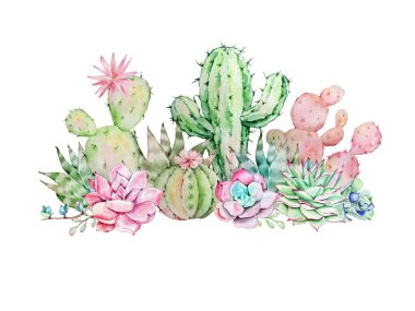 Watercolor illustration Cacti and succulents for design and print