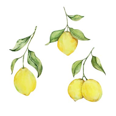 Watercolor mediterranean set, juicy lemons, leaves, flowers, Italian tiles, illustration for design