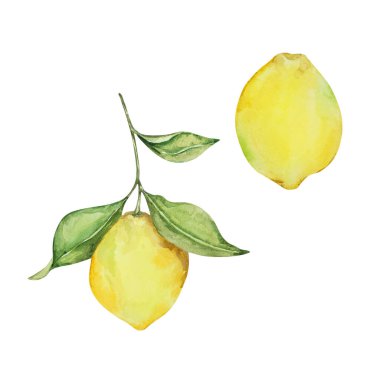 Watercolor mediterranean set, juicy lemons, leaves, flowers, Italian tiles, illustration for design
