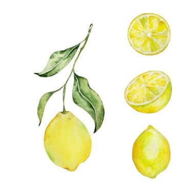 Watercolor mediterranean set, juicy lemons, leaves, flowers, Italian tiles, illustration for design