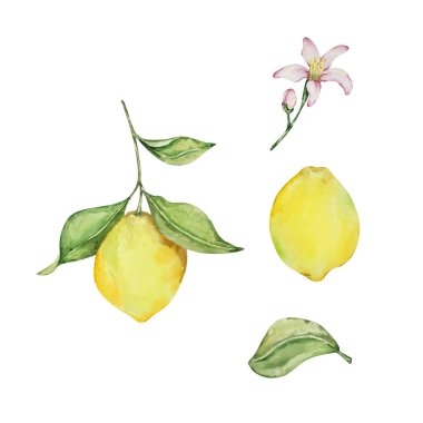Watercolor mediterranean set, juicy lemons, leaves, flowers, Italian tiles, illustration for design