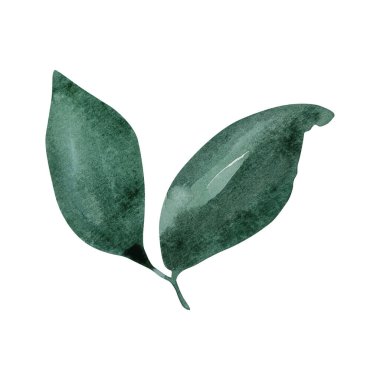 Watercolor delicate green leaves, botanical decorative design for postcards