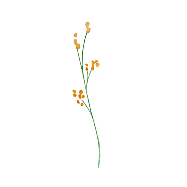 Suluboya Kır Çiçekleri Tasarım Kartları Davetiyeler Için Narin Botanik Çizimler — Stok fotoğraf