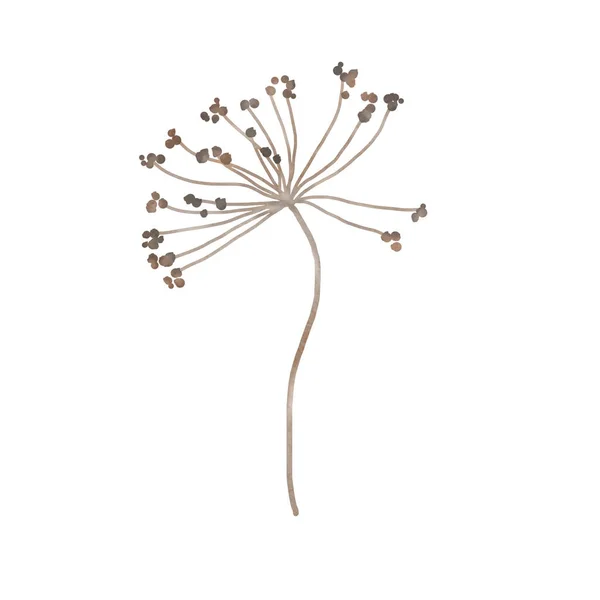 Watercolor Wildflowers Delicate Botanical Illustration Design Cards Invitations — Foto de Stock