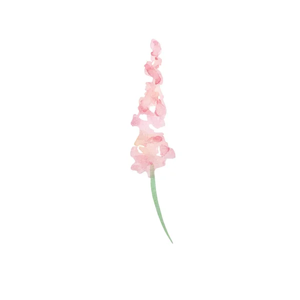 水彩の野花 デザインカードや招待状のための繊細な植物イラスト — ストック写真