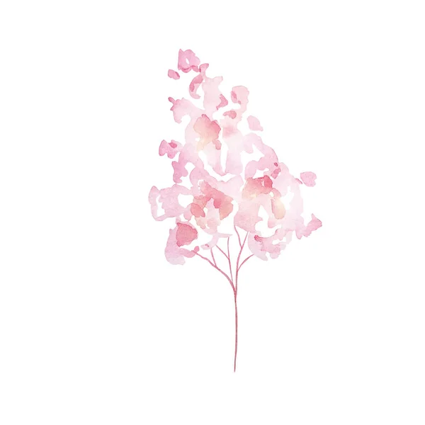 Akvarelové Květy Jemná Botanická Ilustrace Pro Designové Karty Pozvánky — Stock fotografie