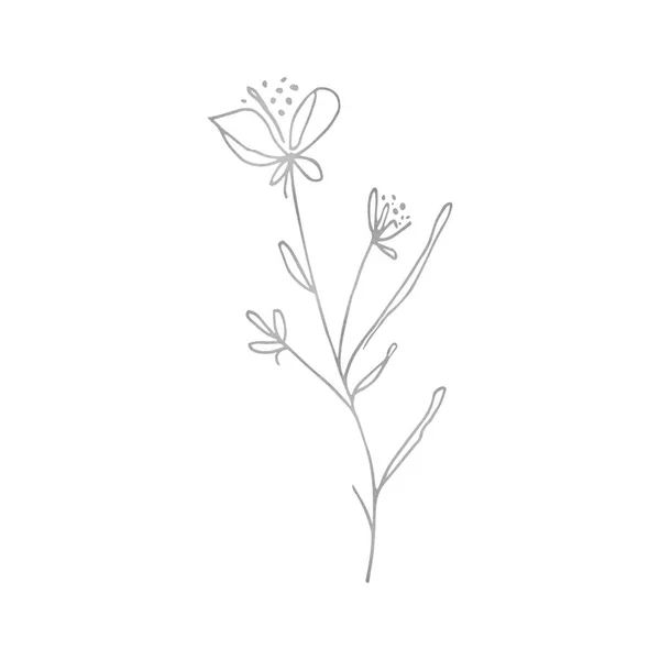 Wildflowers Line Art Hand Drawn Flowers Botanical Elements Card Invitation — Stock Fotó