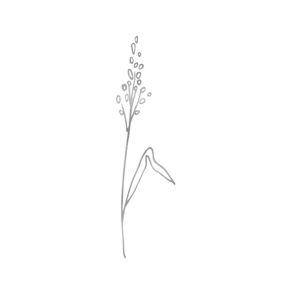 野花线艺术 手绘花卉 植物学元素 用于卡片和邀请设计 — 图库照片