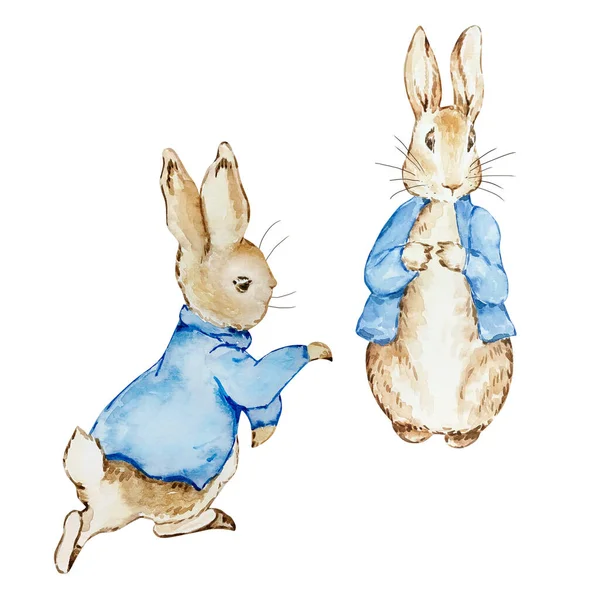 Watercolor Cute Rabbits Blue Jacket Kids Design — Foto Stock