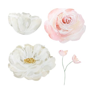 Watercolor set tender roses, botanical decorative design for cards
